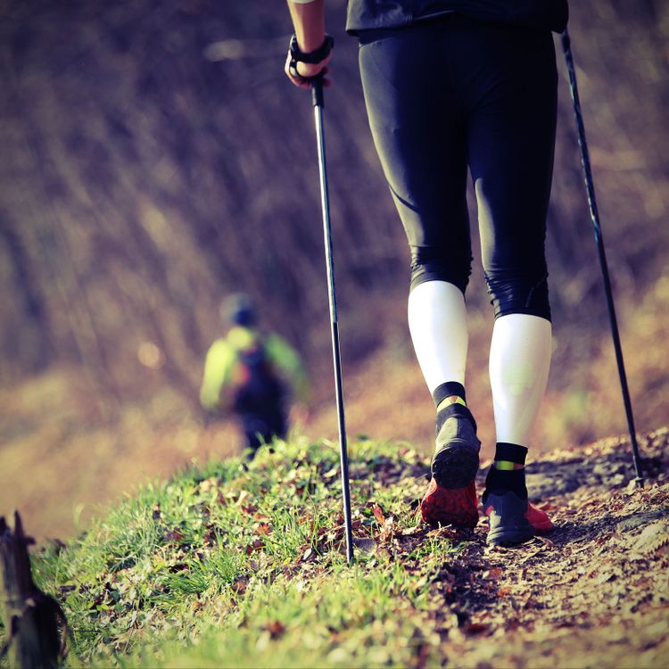 Nordic Walking
